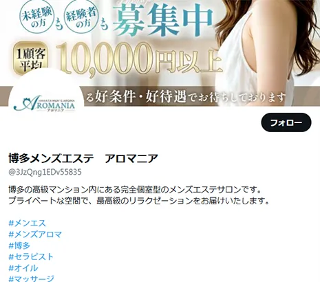 公式X
